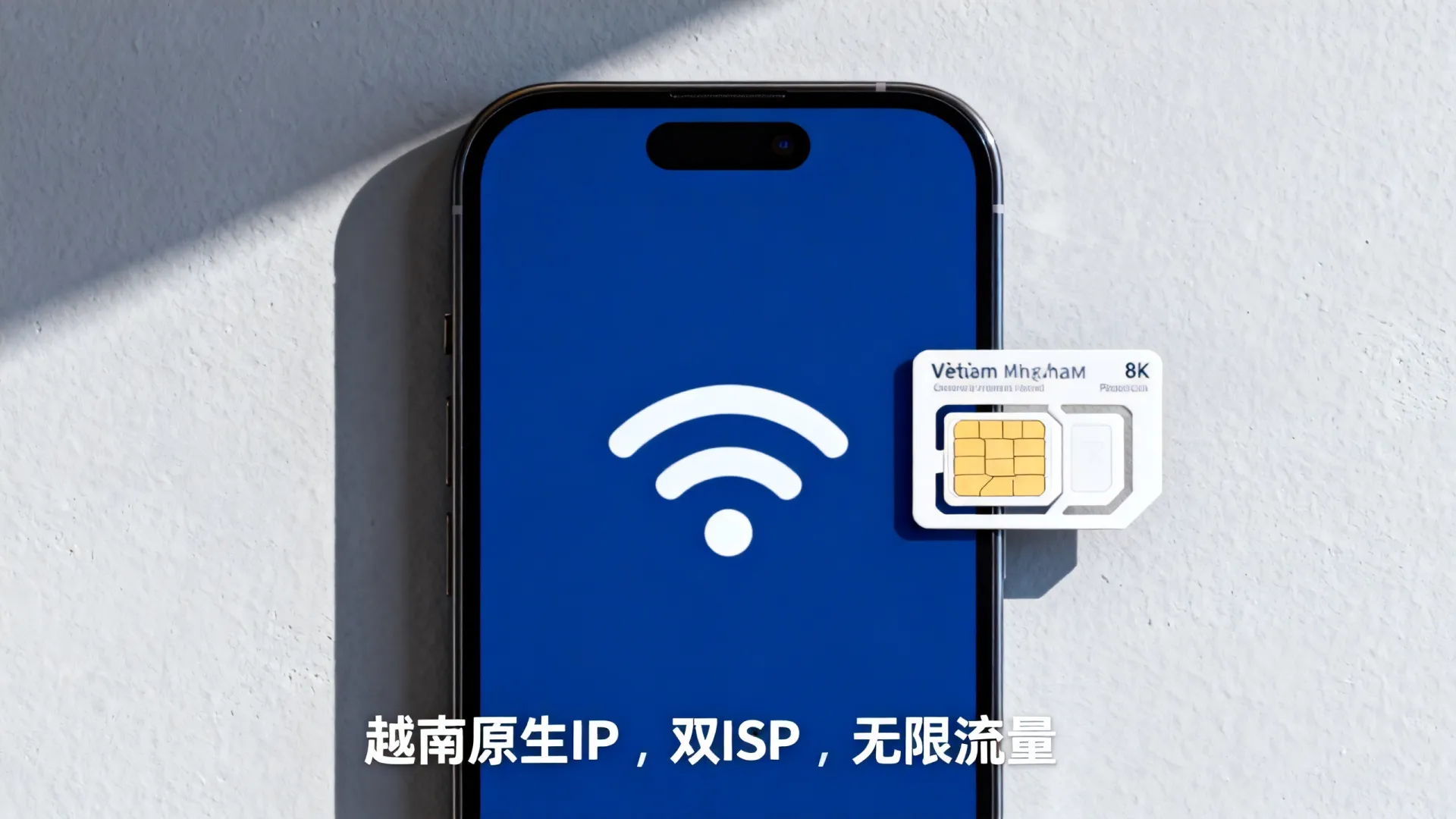 海外双ISP 越南原生ip