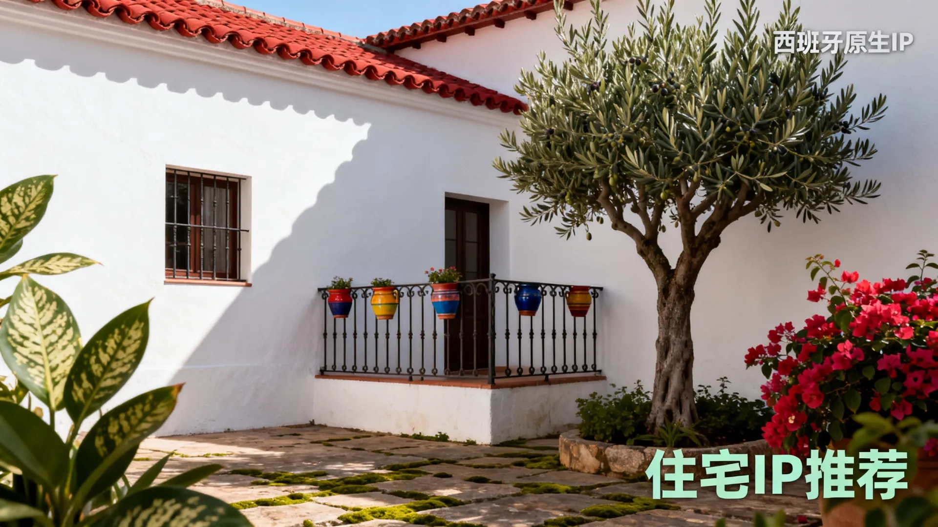 海外住宅IP 西班牙原生ip