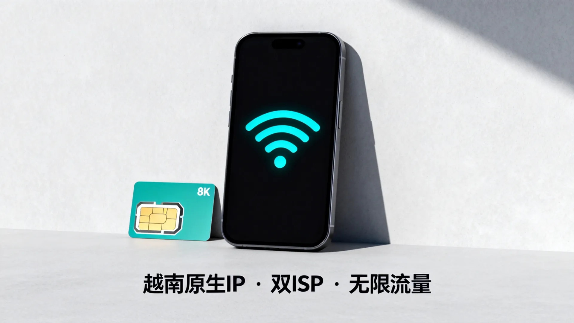 海外双ISP 越南原生ip